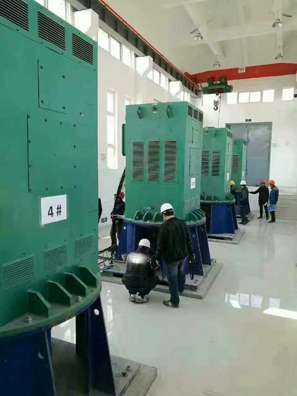 东兴某污水处理厂使用我厂的立式高压电机安装现场报价